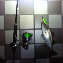 やっとこさ、狙ってた所で釣れたー！